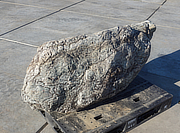 Buy Sanbaseki Stone, Japanese Ornamental Rock for sale - YO06010516