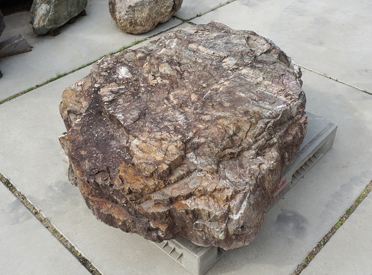 Sanbaseki Stone, Japanese Ornamental Rock - YO06010538