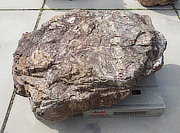 Buy Sanbaseki Stone, Japanese Ornamental Rock for sale - YO06010538