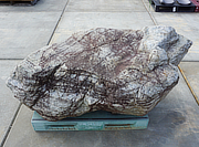 Buy Sanbaseki Stone, Japanese Ornamental Rock for sale - YO06010543
