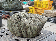 Buy Shikoku Stone, Japanese Ornamental Rock for sale - YO06010261