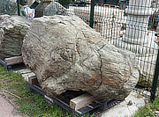 Buy Shikoku Stone, Japanese Ornamental Rock for sale - YO06010310