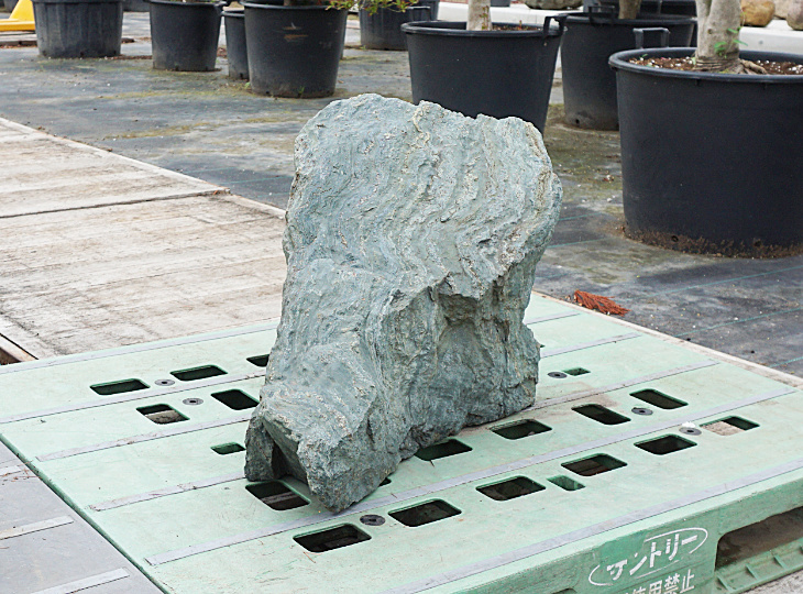 Shikoku Stone, Japanese Ornamental Rock - YO06010313