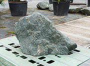 Shikoku Stone, Japanese Ornamental Rock - YO06010313