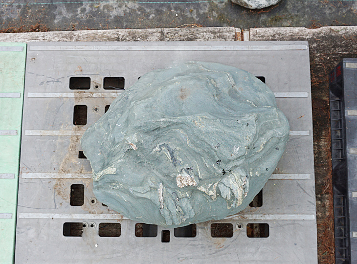 Shikoku Stone, Japanese Ornamental Rock - YO06010314