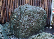 Buy Shikoku Stone, Japanese Ornamental Rock for sale - YO06010359