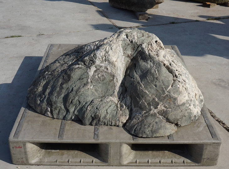 Shikoku Stone, Japanese Ornamental Rock - YO06010368