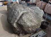 Buy Shikoku Stone, Japanese Ornamental Rock for sale - YO06010381