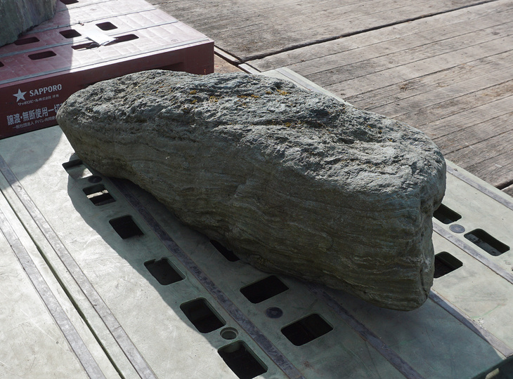 Shikoku Stone, Japanese Ornamental Rock - YO06010384