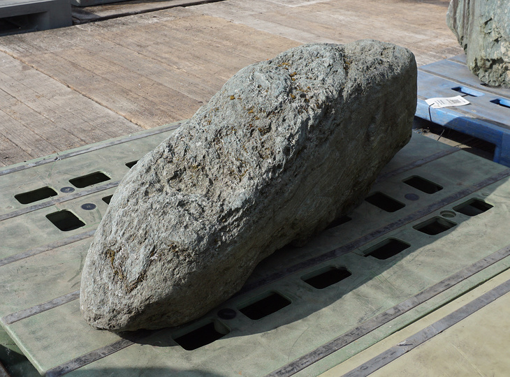 Shikoku Stone, Japanese Ornamental Rock - YO06010384