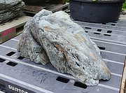 Buy Shikoku Stone, Japanese Ornamental Rock for sale - YO06010411