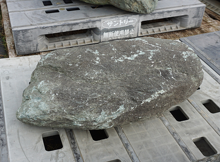 Shikoku Stone, Japanese Ornamental Rock - YO06010427