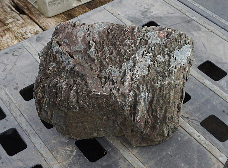 Shikoku Stone, Japanese Ornamental Rock - YO06010429
