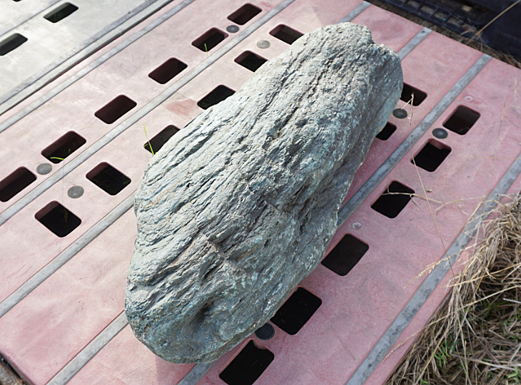 Shikoku Stone, Japanese Ornamental Rock - YO06010430