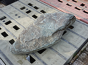 Buy Shikoku Stone, Japanese Ornamental Rock for sale - YO06010431