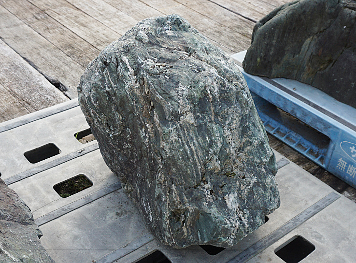 Shikoku Stone, Japanese Ornamental Rock - YO06010432