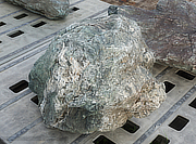 Buy Shikoku Stone, Japanese Ornamental Rock for sale - YO06010432