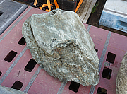 Buy Shikoku Stone, Japanese Ornamental Rock for sale - YO06010436