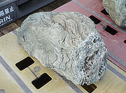 Buy Shikoku Stone, Japanese Ornamental Rock for sale - YO06010437