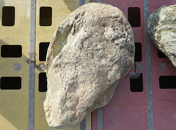 Shikoku Stone, Japanese Ornamental Rock - YO06010438