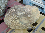 Buy Shikoku Stone, Japanese Ornamental Rock for sale - YO06010438
