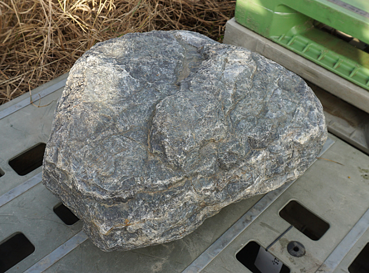 Shikoku Stone, Japanese Ornamental Rock - YO06010442