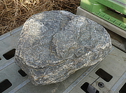 Buy Shikoku Stone, Japanese Ornamental Rock for sale - YO06010442