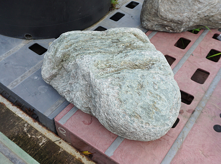 Shikoku Stone, Japanese Ornamental Rock - YO06010447