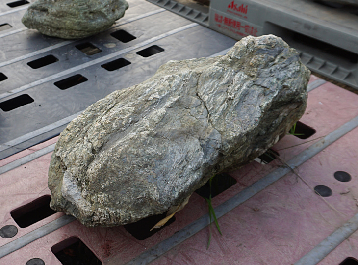Shikoku Stone, Japanese Ornamental Rock - YO06010449