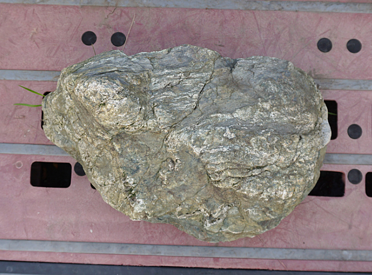 Shikoku Stone, Japanese Ornamental Rock - YO06010449