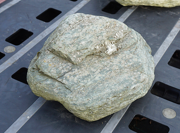 Shikoku Stone, Japanese Ornamental Rock - YO06010450