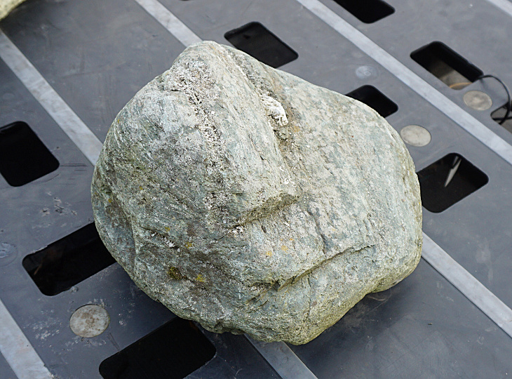 Shikoku Stone, Japanese Ornamental Rock - YO06010450