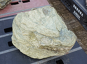 Buy Shikoku Stone, Japanese Ornamental Rock for sale - YO06010451
