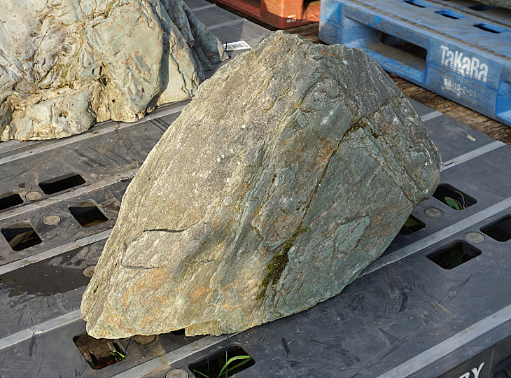 Shikoku Stone, Japanese Ornamental Rock - YO06010454