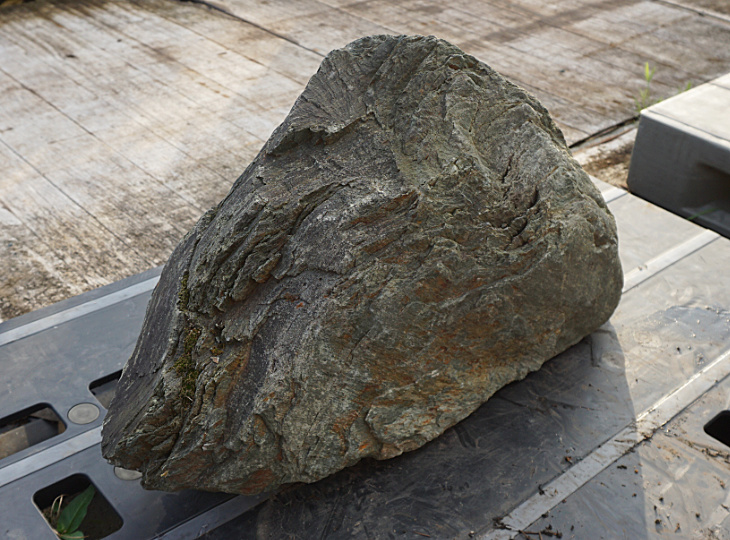 Shikoku Stone, Japanese Ornamental Rock - YO06010454