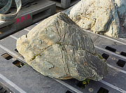 Buy Shikoku Stone, Japanese Ornamental Rock for sale - YO06010454