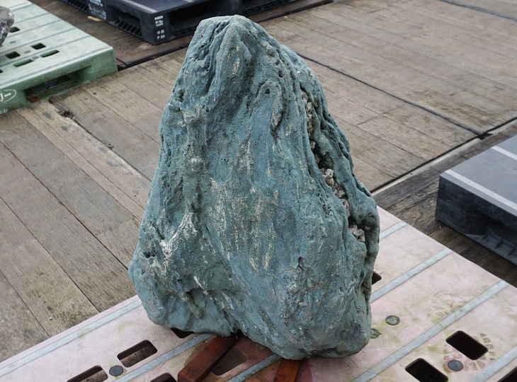 Shikoku Stone, Japanese Ornamental Rock - YO06010489