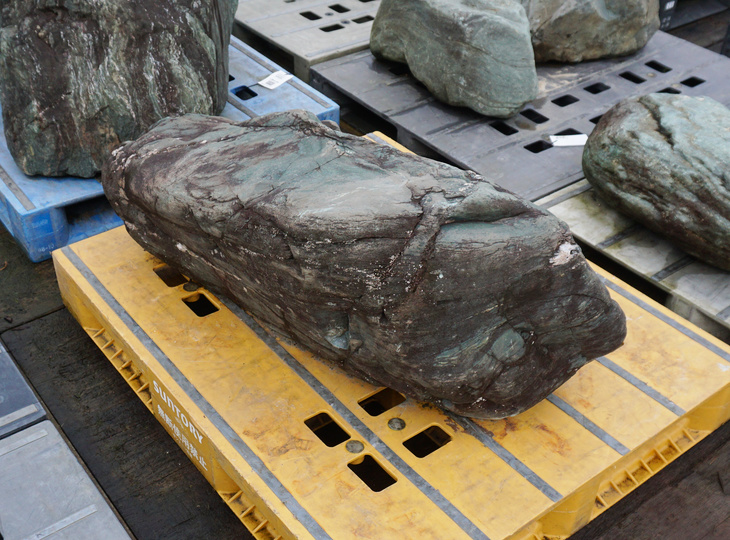 Shikoku Stone, Japanese Ornamental Rock - YO06010490