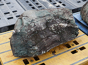 Buy Shikoku Stone, Japanese Ornamental Rock for sale - YO06010490
