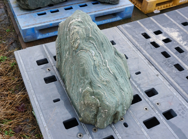 Shikoku Stone, Japanese Ornamental Rock - YO06010492