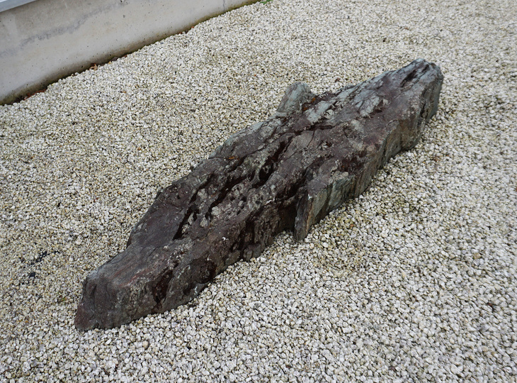 Shikoku Stone, Japanese Ornamental Rock - YO06010495