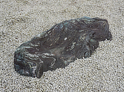 Buy Shikoku Stone, Japanese Ornamental Rock for sale - YO06010496