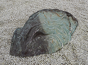 Buy Shikoku Stone, Japanese Ornamental Rock for sale - YO06010498