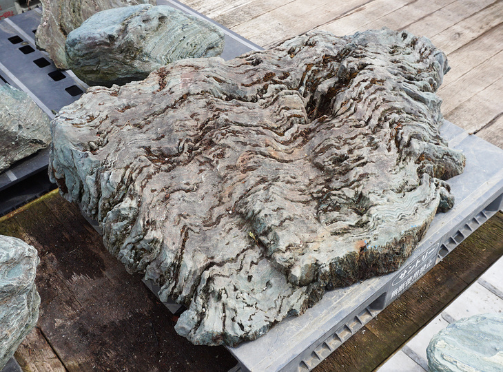 Shikoku Stone, Japanese Ornamental Rock - YO06010501