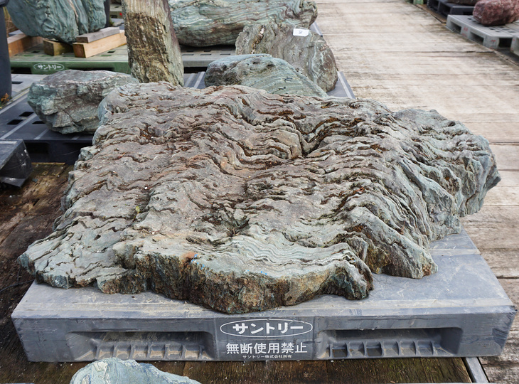 Shikoku Stone, Japanese Ornamental Rock - YO06010501