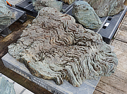 Buy Shikoku Stone, Japanese Ornamental Rock for sale - YO06010501