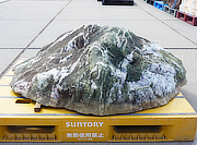 Buy Shikoku Stone, Japanese Ornamental Rock for sale - YO06010523