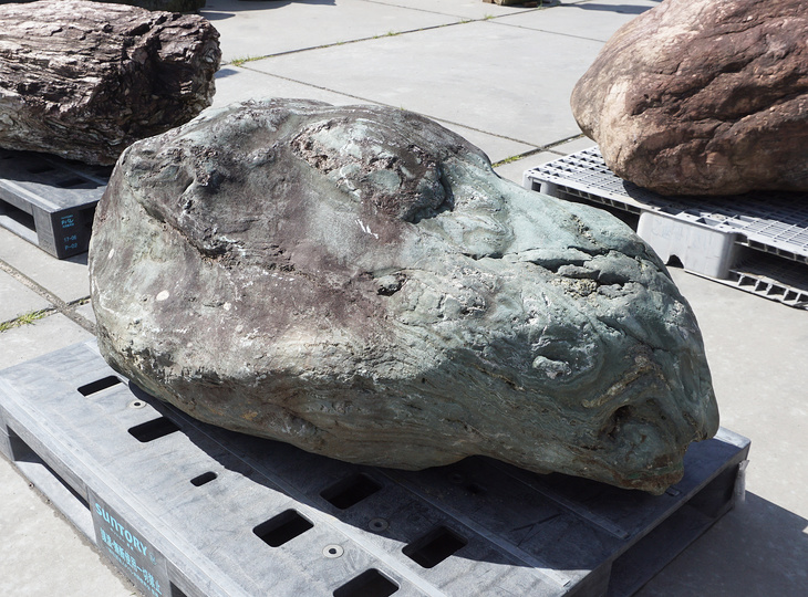 Buy Shikoku Stone, Japanese Ornamental Rock for sale - YO06010549