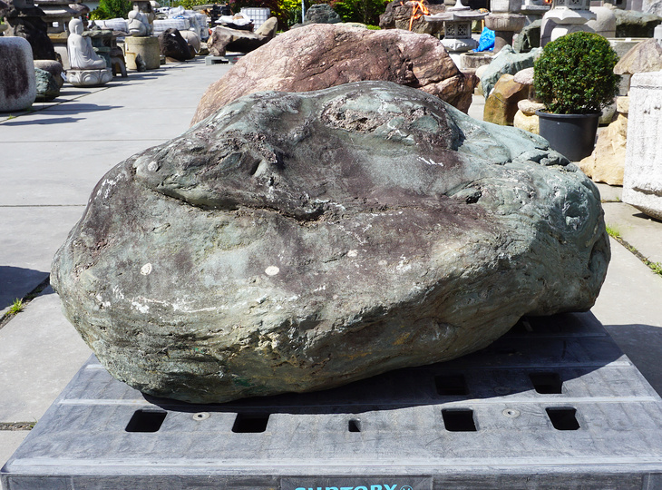 Shikoku Stone, Japanese Ornamental Rock - YO06010549