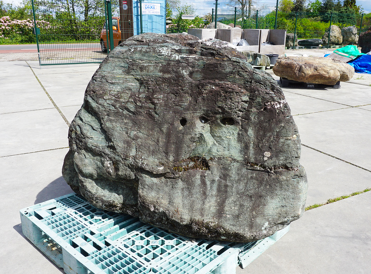 Shikoku Stone, Japanese Ornamental Rock - YO06010556